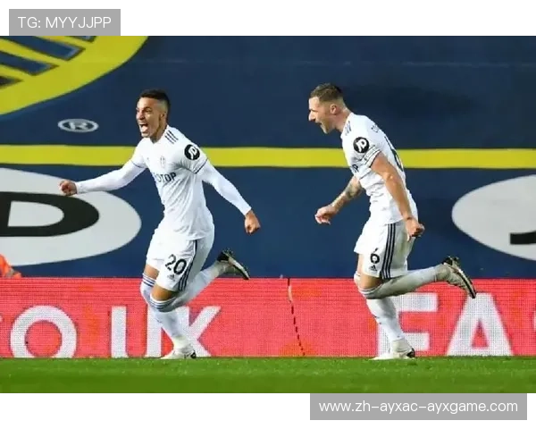 英超球队近五年净投入分析