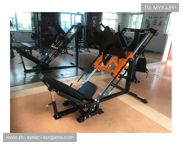 高校健身器材配置标准与选购建议